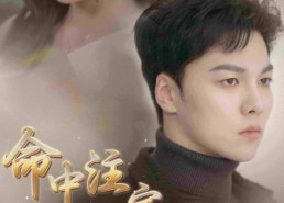 短剧《命中注定我爱你（75集）》热门短剧免费全集赏