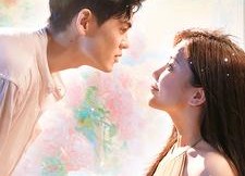 短剧《每天都和总裁斗智斗勇（83集）》精彩短剧免费畅快追