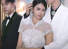 短剧《情深留不住（80集）》爆款短剧免费全集看