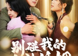 短剧《别碰我的合法婚姻（30集）》短剧高清免费全集览