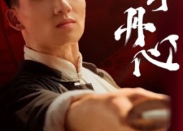 短剧《赤子丹心（48集）》爆款短剧完整免费看