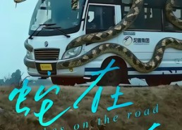 短剧《蛇在车途（34集）》短剧完整版免费在线看