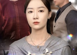 短剧《家庭启示录（50集）》高清短剧在线全集赏