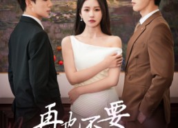 短剧《再也不要爱你（79集）》短剧全辑无广告在线播放