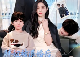 短剧《胖妞被退婚后，光芒万丈携娃归来（81集）》精彩短剧免费在线看