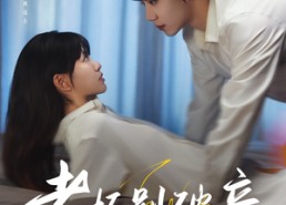 短剧《老板别破产（72集）》免费短剧全集畅快追看