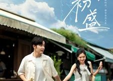 短剧《玉山初盛（80集）》热门短剧全集免费享