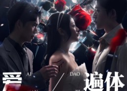 短剧《爱到遍体鳞伤（84集）》全集短剧免费在线览