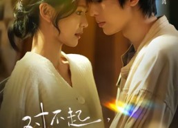 短剧《对不起，无人如我般爱你（64集）》短剧免费在线高清观赏