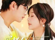 短剧《闪婚老公来真的（100集）》精彩短剧在线免费追