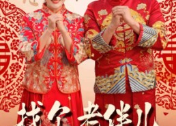 短剧《找个老伴儿回村过年（58集）》爆款短剧在线免费播