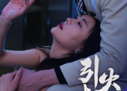 短剧《引火烧身（82集）》短剧全集免费在线追