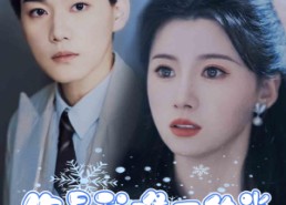 短剧《你是我唯一的光（95集）》短剧全集免费在线览