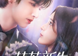 短剧《芷若新生（83集）》短剧全集高清免费看