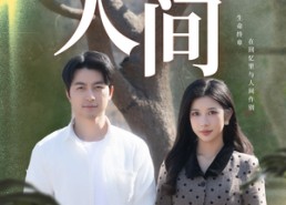 短剧《再见人间（30集）》热门短剧全集免费播放