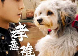 短剧《孝意难偿（32集）》短剧全集高清免费看