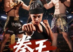 短剧《拳王之风云再起（50集）》爆款短剧在线免费追