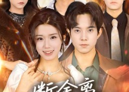 短剧《断舍离，哥哥们后悔莫及（70集）》短剧全集畅享不停歇