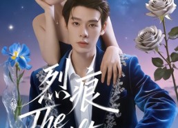 短剧《烈痕（35集）》爆款短剧高清在线播