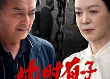 短剧《此时有子不如无（78集）》短剧佳作免费在线播