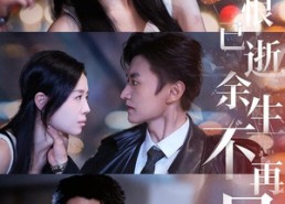 短剧《爱恨已逝，余生不再见（68集）》超火短剧免费全集畅享