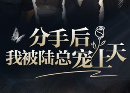 短剧《分手后，我被陆总宠上天（76集）》热门短剧免费全集追