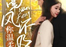 短剧《南风不及你温柔（74集）》热门短剧全集免费播放