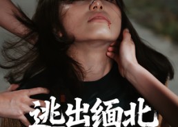 短剧《逃出缅北（62集）》精彩短剧完整版在线追