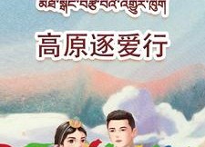 短剧《高原逐爱行（43集）》短剧全集免费在线赏