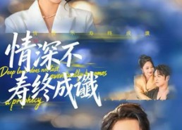 短剧《情深不寿终成谶（74集）》短剧在线高清免费观看