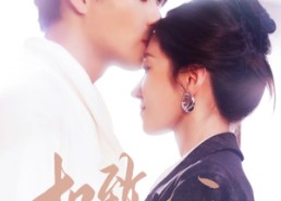 短剧《极致偏宠（40集）》热门短剧在线免费观赏