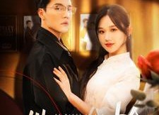 短剧《他偏要抢（130集）》热门短剧全集免费观