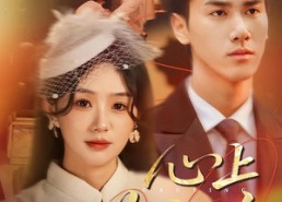 短剧《心上惹尘埃（57集）》热门短剧全集免费观