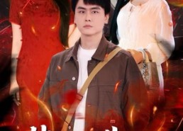 短剧《禁断典阁（73集）》热门短剧免费观看