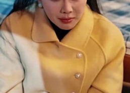 短剧《到此飞鸟不相逢（70集）》优质短剧全集免费赏