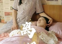 短剧《离恨如春草（60集）》完整短剧免费畅享