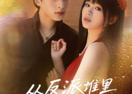 短剧《从反派堆里捡个宝（70集）》短剧全集免费在线观盛宴