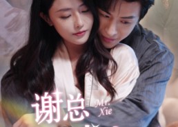 短剧《谢总你入戏太深（38集）》爆款短剧全集免费看