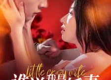 短剧《谁说我是柔弱娇妻（99集）》精彩短剧在线免费赏