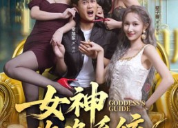 短剧《女神攻略系统（62集）》免费短剧全集畅快看