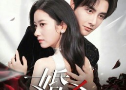 短剧《婚杀（60集）》优质短剧在线流畅播放