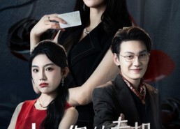 短剧《夫人您的专机飞走了（62集）》精彩短剧免费在线播放