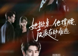 短剧《她掀桌他撑腰反派在劫难逃（71集）》免费短剧全集尽情赏