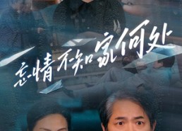 短剧《忘情不知家何处（53集）》短剧全集免费在线尽情赏