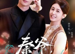 短剧《秦爷，扎个针（85集）》短剧全集免费高清观看