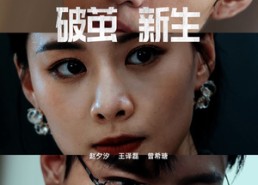 短剧《破茧新生（41集）》全网热门短剧免费看