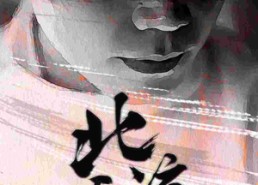 短剧《北凉天王（74集）》精彩短剧完整版播放