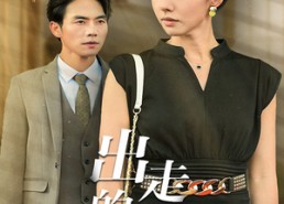 短剧《出走的决心（29集）》短剧畅享高清全集