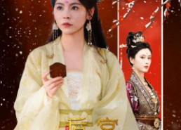 短剧《后宫风云录（69集）》爆款短剧免费全集看
