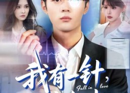 短剧《我有一针，可定红尘（80集）》超火短剧在线畅享